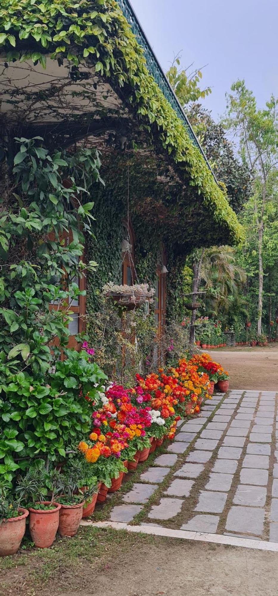 Shaheen Bagh - A Luxury Boutique Resort & Spa Rājpur Exterior photo